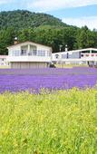 Туры в отель Highland Furano Туры в отель Highland Furano