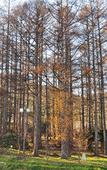 Туры в отель Highland Furano Туры в отель Highland Furano