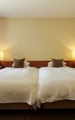 Туры в отель Hotel Kajima No Mori Туры в отель Hotel Kajima No Mori