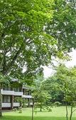Туры в отель Hotel Kajima No Mori Туры в отель Hotel Kajima No Mori