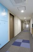 Туры в отель Hotel Sunoak Kashiwanoha Туры в отель Hotel Sunoak Kashiwanoha