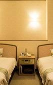 Туры в отель Hotel AreaOne Hiroshima Wing Туры в отель Hotel AreaOne Hiroshima Wing