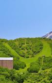 Туры в отель The Westin Rusutsu Resort Туры в отель The Westin Rusutsu Resort