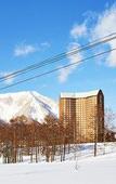 Туры в отель The Westin Rusutsu Resort Туры в отель The Westin Rusutsu Resort