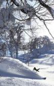 Туры в отель The Westin Rusutsu Resort Туры в отель The Westin Rusutsu Resort