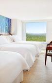 Туры в отель The Westin Rusutsu Resort Туры в отель The Westin Rusutsu Resort