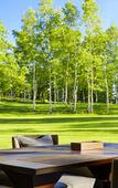 Туры в отель The Westin Rusutsu Resort Туры в отель The Westin Rusutsu Resort