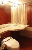 Туры в отель Gunma Royal Hotel Туры в отель Gunma Royal Hotel