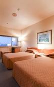 Туры в отель Gunma Royal Hotel Туры в отель Gunma Royal Hotel