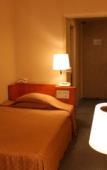 Туры в отель Gunma Royal Hotel Туры в отель Gunma Royal Hotel