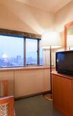 Туры в отель Gunma Royal Hotel Туры в отель Gunma Royal Hotel