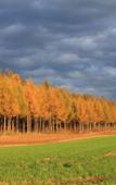 Туры в отель Glamping Resort Feriendorf Туры в отель Glamping Resort Feriendorf