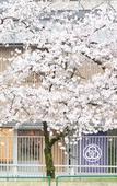 Туры в отель Hostel Mitsuwaya Osaka Туры в отель Hostel Mitsuwaya Osaka