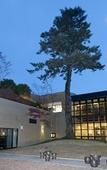 Туры в отель Izu Kogen Hotel Five Stars Туры в отель Izu Kogen Hotel Five Stars