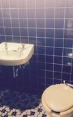 Туры в отель Shirahama Hotel Туры в отель Shirahama Hotel