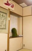 Туры в отель Yamabe Hotel Туры в отель Yamabe Hotel