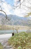 Туры в отель Shirahone Onsen Tsuruya Ryokan Туры в отель Shirahone Onsen Tsuruya Ryokan
