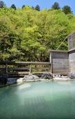Туры в отель Shirahone Onsen Tsuruya Ryokan Туры в отель Shirahone Onsen Tsuruya Ryokan