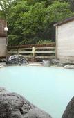 Туры в отель Shirahone Onsen Tsuruya Ryokan Туры в отель Shirahone Onsen Tsuruya Ryokan