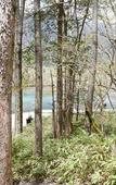 Туры в отель Shirahone Onsen Tsuruya Ryokan Туры в отель Shirahone Onsen Tsuruya Ryokan