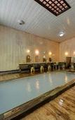 Туры в отель Shirahone Onsen Tsuruya Ryokan Туры в отель Shirahone Onsen Tsuruya Ryokan