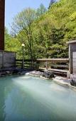 Туры в отель Shirahone Onsen Tsuruya Ryokan Туры в отель Shirahone Onsen Tsuruya Ryokan