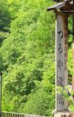 Туры в отель Shirahone Onsen Tsuruya Ryokan Туры в отель Shirahone Onsen Tsuruya Ryokan