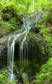Туры в отель Shirahone Onsen Tsuruya Ryokan Туры в отель Shirahone Onsen Tsuruya Ryokan