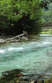 Туры в отель Shirahone Onsen Tsuruya Ryokan Туры в отель Shirahone Onsen Tsuruya Ryokan