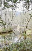 Туры в отель Shirahone Onsen Tsuruya Ryokan Туры в отель Shirahone Onsen Tsuruya Ryokan
