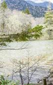 Туры в отель Shirahone Onsen Tsuruya Ryokan Туры в отель Shirahone Onsen Tsuruya Ryokan