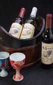 Туры в отель Shirahone Onsen Tsuruya Ryokan Туры в отель Shirahone Onsen Tsuruya Ryokan