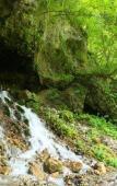 Туры в отель Shirahone Onsen Tsuruya Ryokan Туры в отель Shirahone Onsen Tsuruya Ryokan