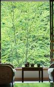 Туры в отель Shirahone Onsen Tsuruya Ryokan Туры в отель Shirahone Onsen Tsuruya Ryokan