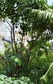 Туры в отель Rainbow Terrace Туры в отель Rainbow Terrace