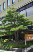 Туры в отель Kamiyamada Hotel Туры в отель Kamiyamada Hotel