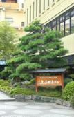 Туры в отель Kamiyamada Hotel Туры в отель Kamiyamada Hotel