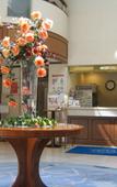 Туры в отель Pearl Hotel Mizonokuchi Туры в отель Pearl Hotel Mizonokuchi