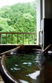 Туры в отель Shimogoten Туры в отель Shimogoten