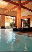 Туры в отель Tateyama Prince Hotel Туры в отель Tateyama Prince Hotel