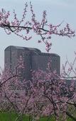 Туры в отель Hotel Kasugai Туры в отель Hotel Kasugai