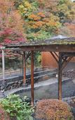 Туры в отель Hotel Okuyumoto Туры в отель Hotel Okuyumoto