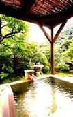 Туры в отель Hotel Okuyumoto Туры в отель Hotel Okuyumoto