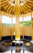 Туры в отель Okutone Onsen Hotel Sunbird Туры в отель Okutone Onsen Hotel Sunbird