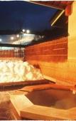 Туры в отель Okutone Onsen Hotel Sunbird Туры в отель Okutone Onsen Hotel Sunbird