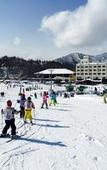 Туры в отель Okutone Onsen Hotel Sunbird Туры в отель Okutone Onsen Hotel Sunbird