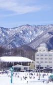 Туры в отель Okutone Onsen Hotel Sunbird Туры в отель Okutone Onsen Hotel Sunbird