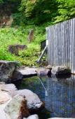 Туры в отель Lamp No Yado Aoni Onsen Туры в отель Lamp No Yado Aoni Onsen