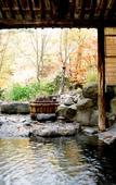 Туры в отель Lamp No Yado Aoni Onsen Туры в отель Lamp No Yado Aoni Onsen