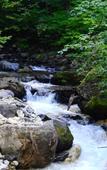 Туры в отель Lamp No Yado Aoni Onsen Туры в отель Lamp No Yado Aoni Onsen